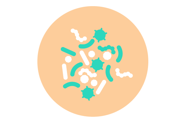 balanced microbiome icon