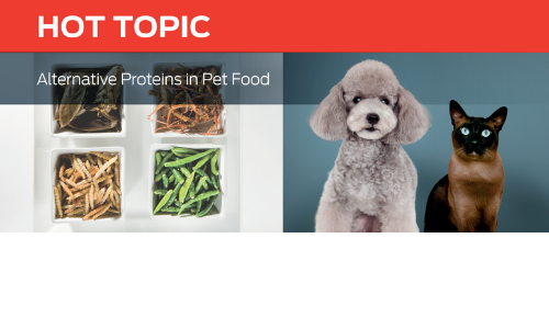 Hot Topic Alternative Proteins In Pet Food